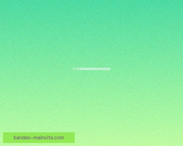 2026世界杯竞猜平台推荐全攻略助你轻松赢得大奖